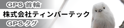 株式会社ティンバーテック